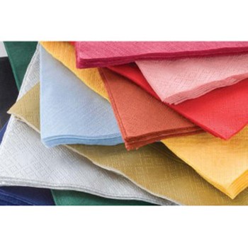 Napkins 2ply coloured 40cm