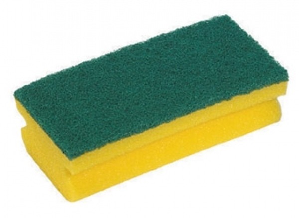 Sponge Scourers